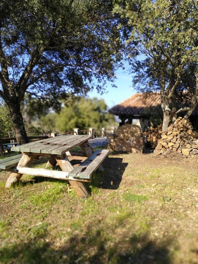 La Simona Casa Rural Perales del Puerto Exterior foto